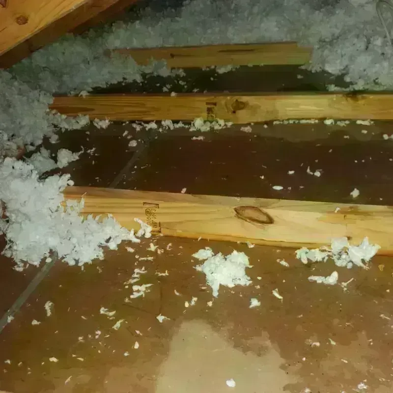 Attic Water Damage in Somers, MT